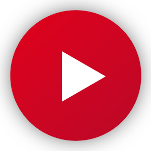 DS Solutions MAKE IT PLAY!