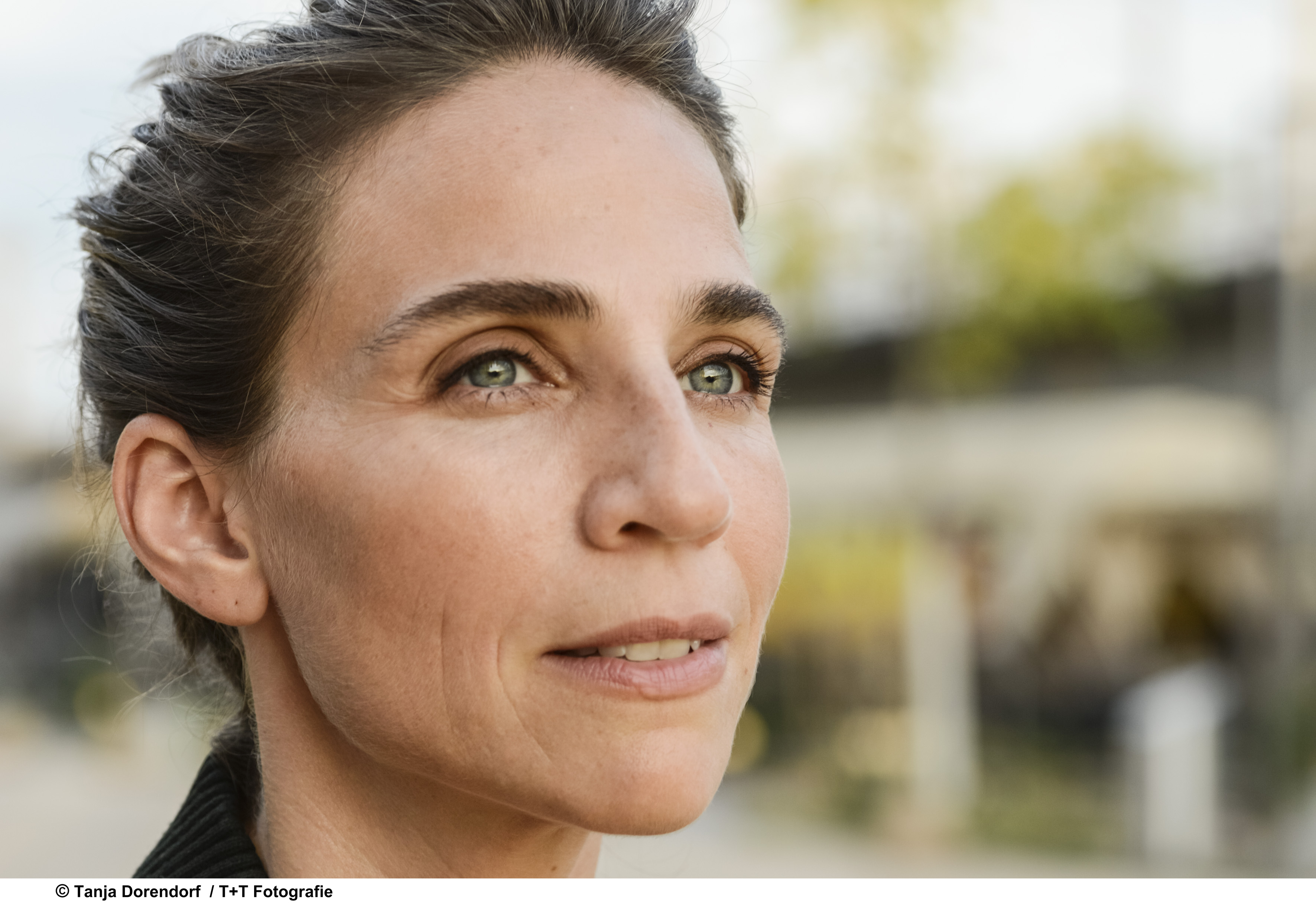 Oriana oriana schrage