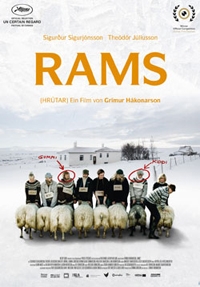 Rams - Hrútar 